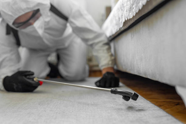 Professional Cockroach Control technician working in Salida del Sol Estates, TX