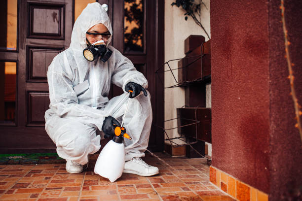 Reliable Cockroach Control contractor in Salida del Sol Estates, TX by Nex Pest Control